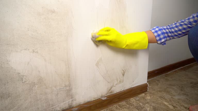 Best Mold Remediation for Healthcare Facilities  in Hancock, MI