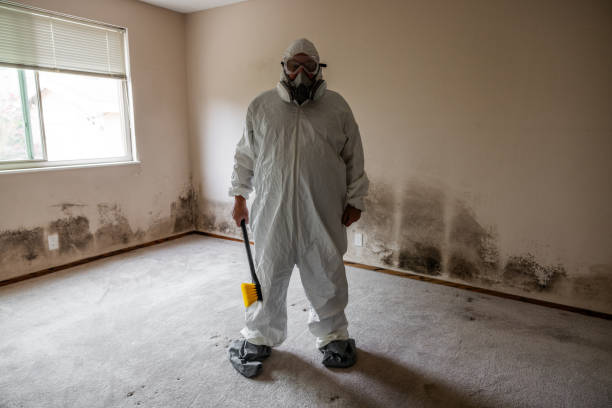 Professional Mold Inspection, Removal & Remediation in Hancock, MI